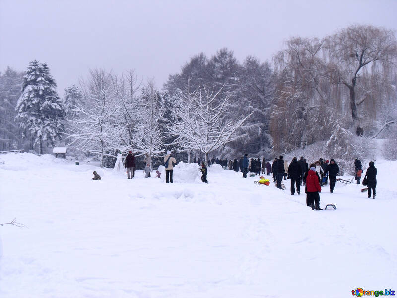 Winter  Festivals №10607