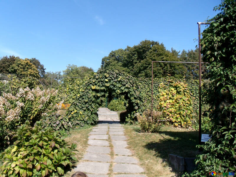 Arco  en  jardín №10022