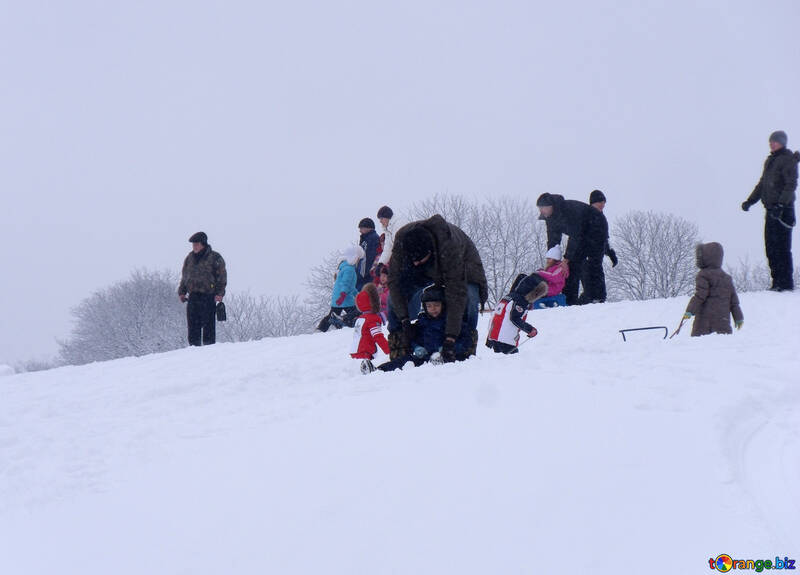 Skiing  at  sleigh №10598