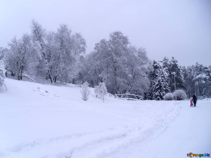 Strada  e  neve  №10497