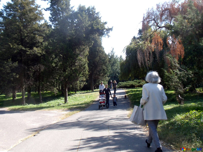 Promenade  à  frais  air №10040