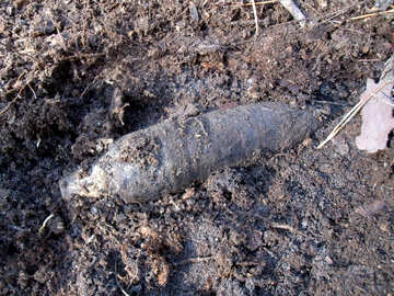 Excavated artillery shell №11171