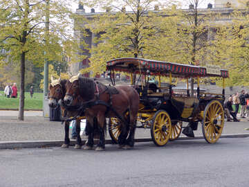 Pleasure horse carriage №11676