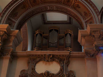 Organo №11606