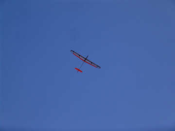 Glider №11435