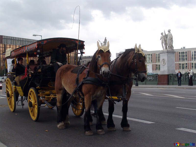 Walking coach №11535