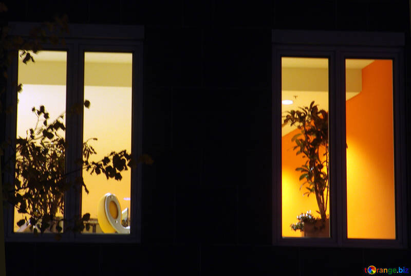Sagome di piante nella finestra di notte №11503