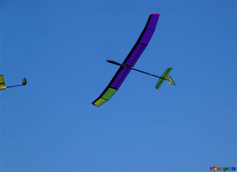Gliders №11450