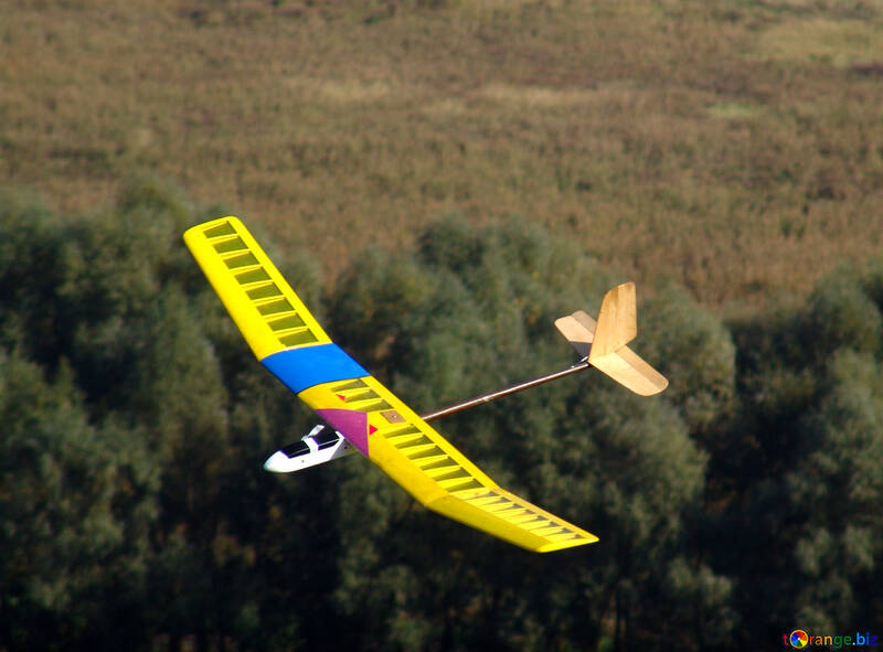 Modell Segelflugzeug №11449