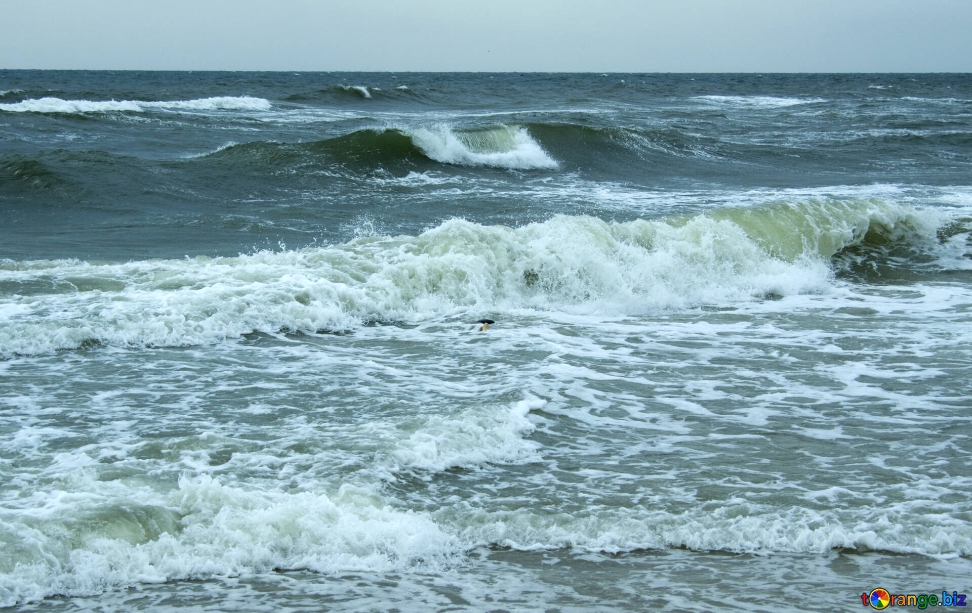 海の波 無料の写真 海の波 無料の写真 ドロップ Torange Biz