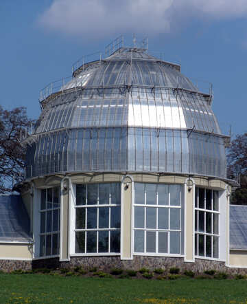 Glass dome №12914