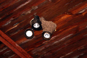 Swallows Nest №12233