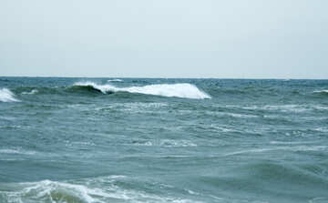 Waves №12688