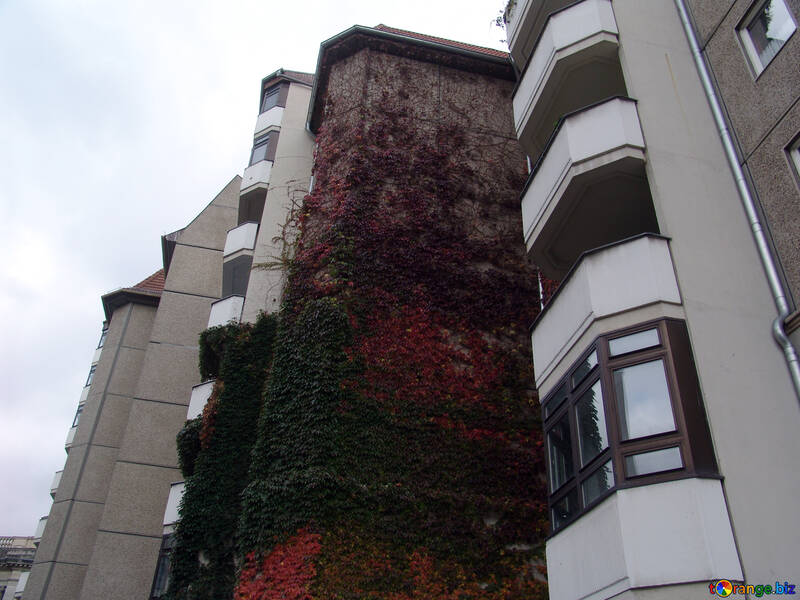 Засклений балкон в Європі №12125