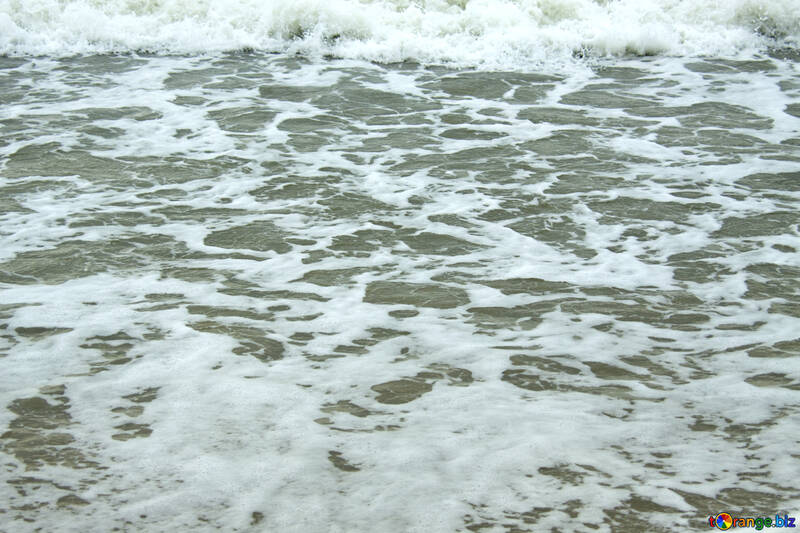 Хвиля на пляжі №12698