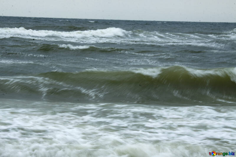 Wave near the shore №12732
