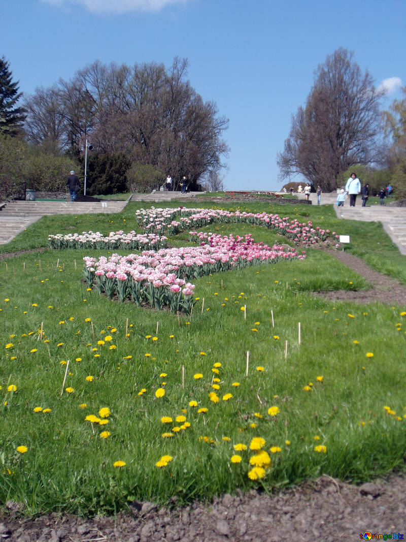 Zeichnung von Blumen №12935