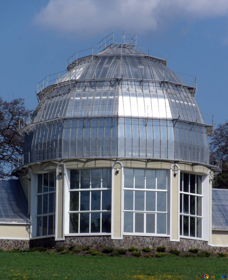 Glass dome №12914