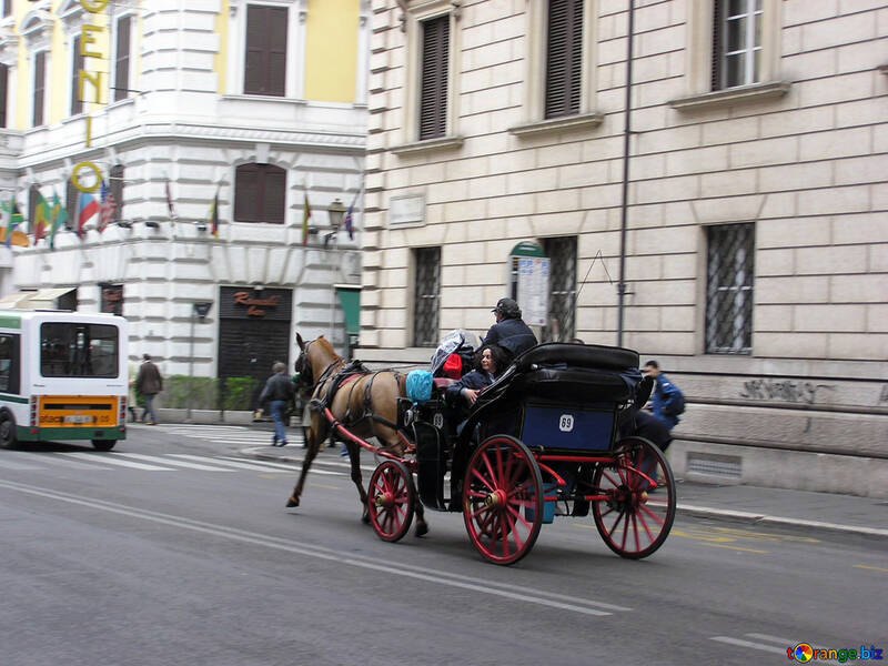 Horse-drawn carriage №12355