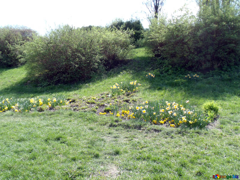 Flower bed on the slope №12932