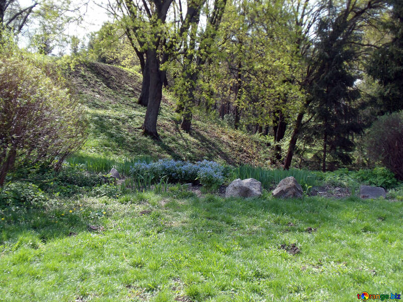 Frühling Landschaft №12926