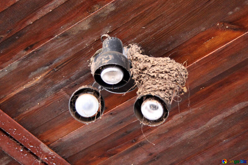 Swallows Nest №12230