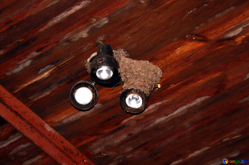 Swallows Nest №12233