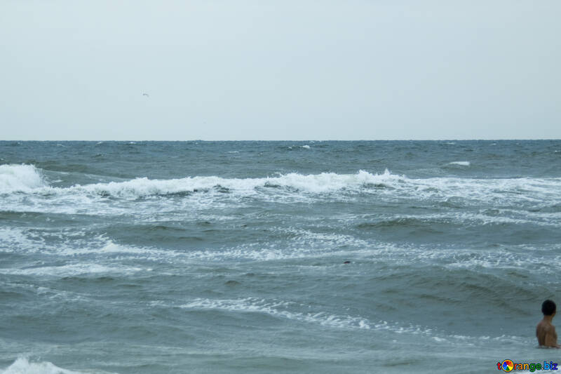 Waves on the beach №12704