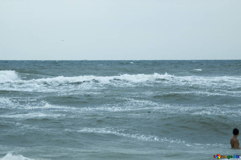 Olas en la playa №12704