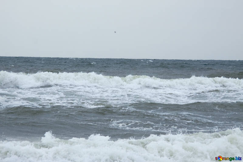 Waves near the shore №12721