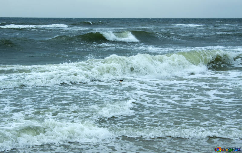 Sea waves №12713