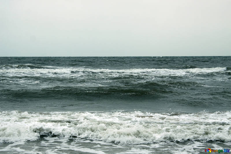 Wellen im Meer №12734