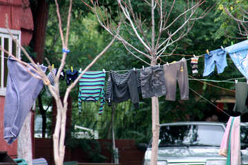 Drying clothes №13676