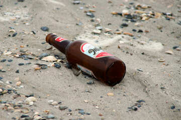 Beer on the beach №13669