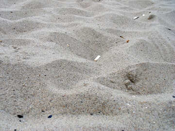Cigarette butts on the beach №13558