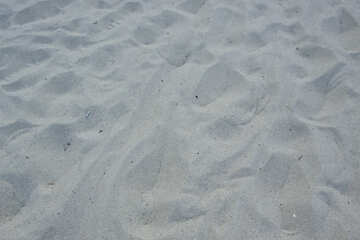 Dry sand №13860