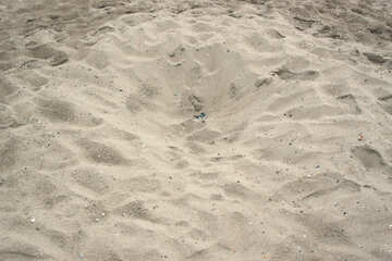 El hoyo en la arena №13879