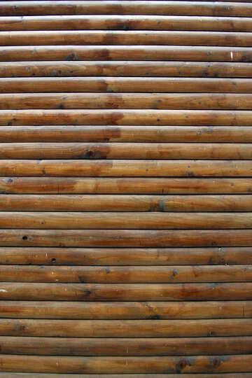 Texture timber №13976