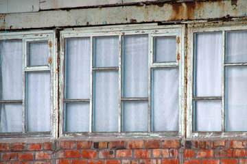 Texture tall old windows №13788