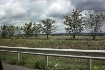 Árvores ao longo da estrada №13329