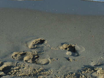 Footprints in the sand №13643