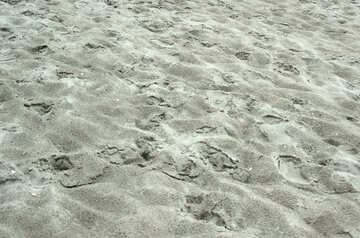 Footprints in the sand №13853