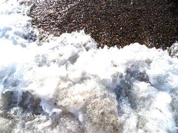 Sea ​​foam №13564