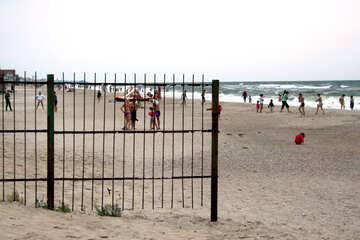 Fence on the beach №13395
