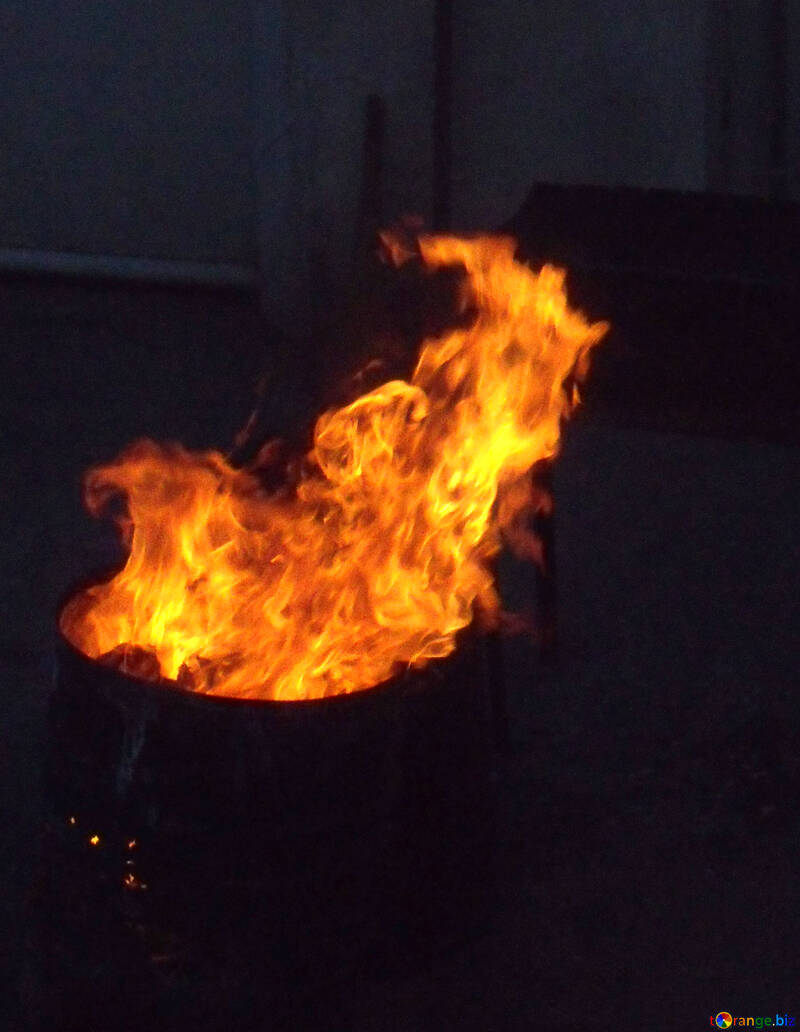Flame in barrel №13532