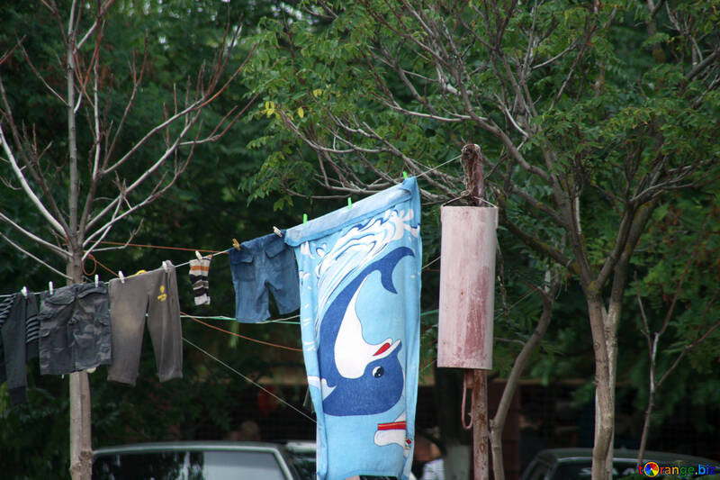 Laundry drying on rope №13664