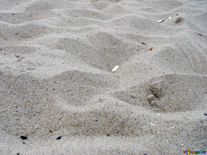 Cigarette butts on the beach №13558