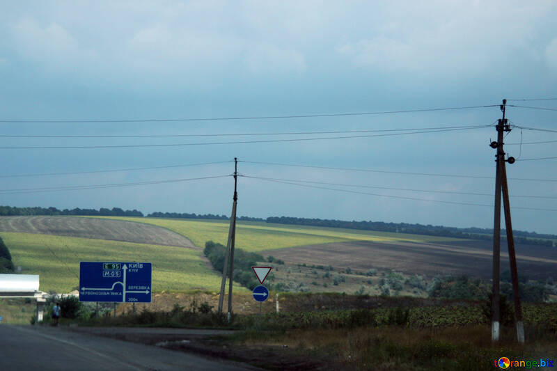 Poles along the road №13200