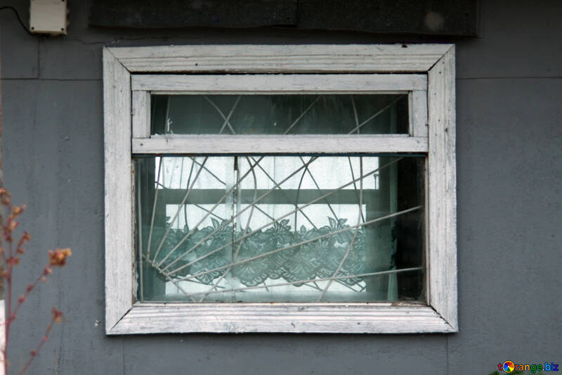 Window grating №13775
