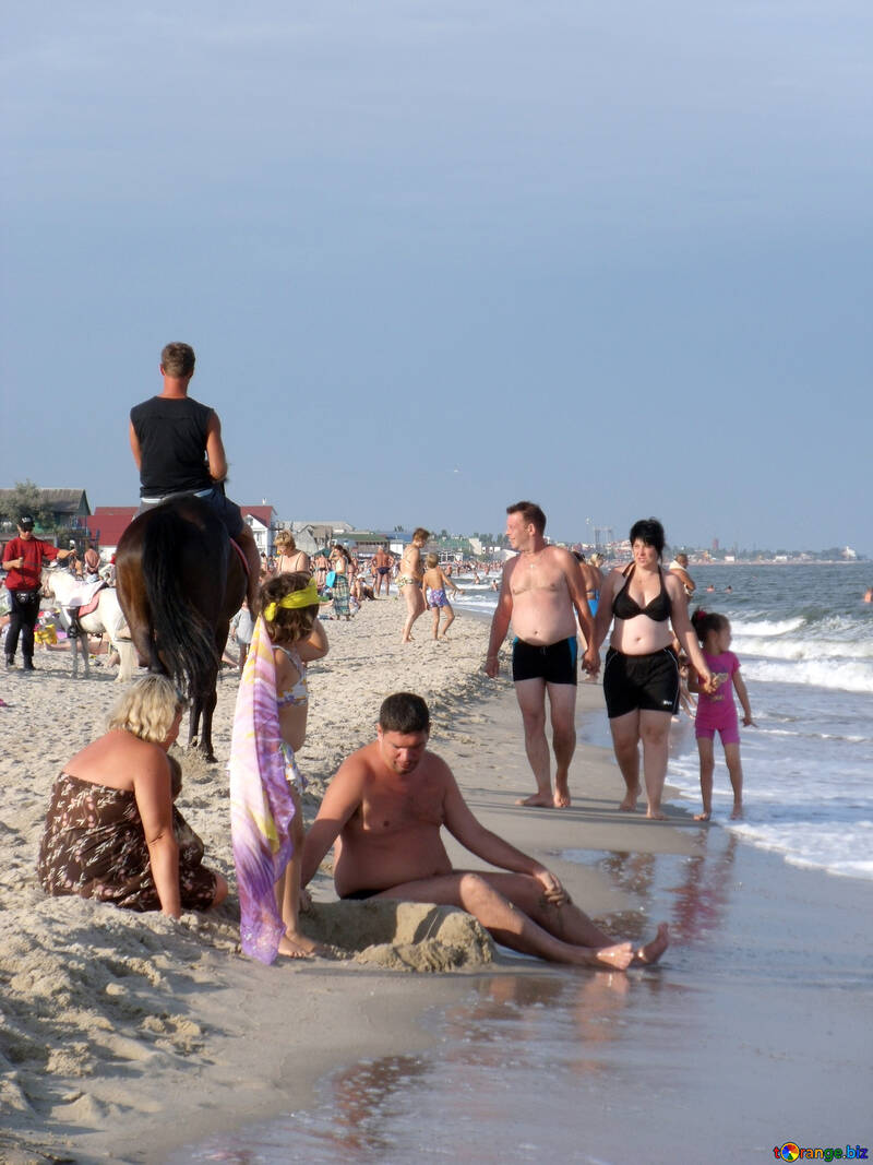 Lavorare a cavallo sulla spiaggia №13536